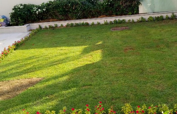 Landscaping